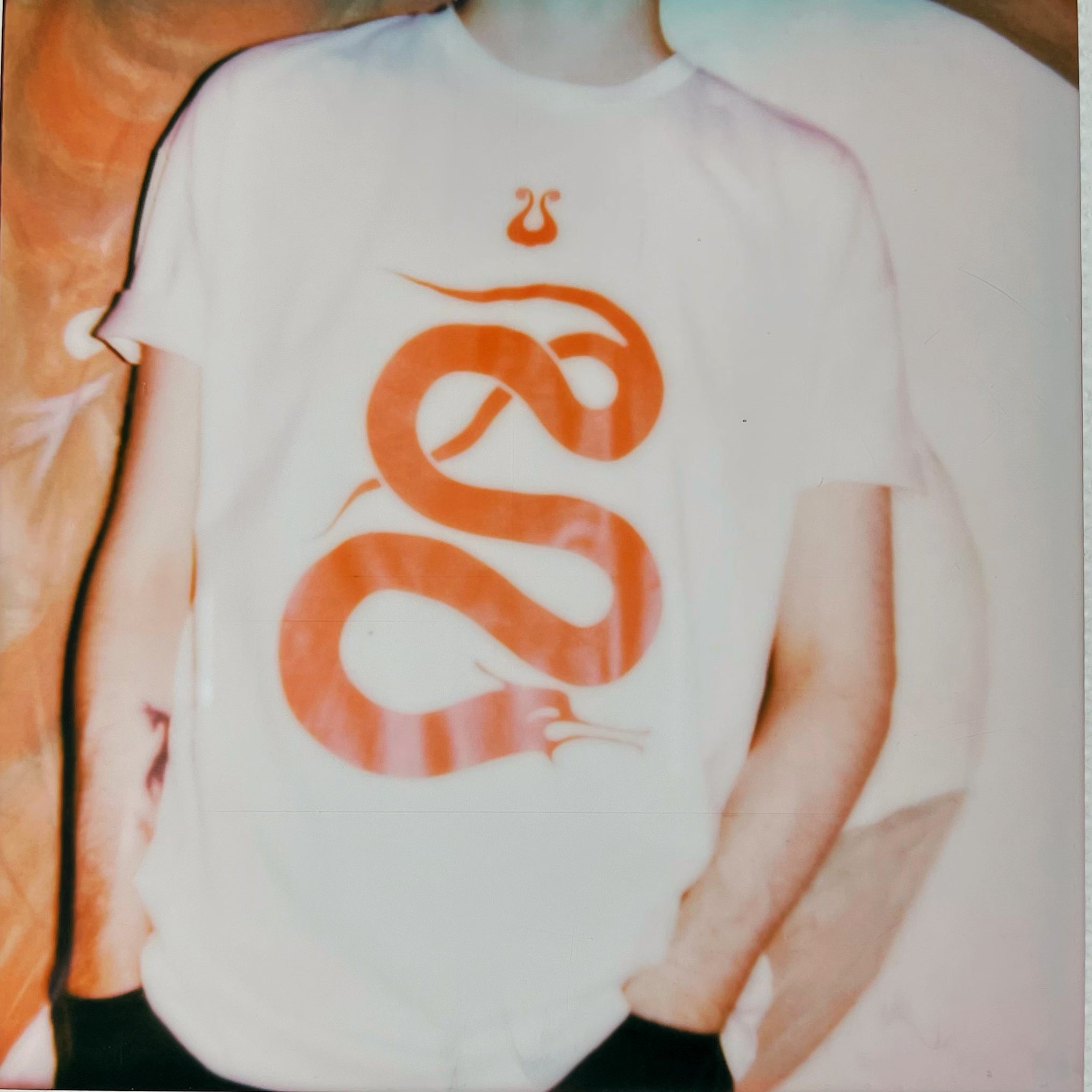 Dragon T-shirt - Ivory